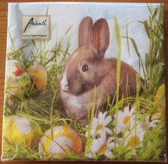 Package of paper napkins Easter bunny in the grass