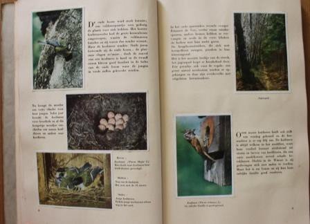 Oud brocante verzamelplaatjesboek Faunaflor C&ocirc;te d&#039;Or 1952