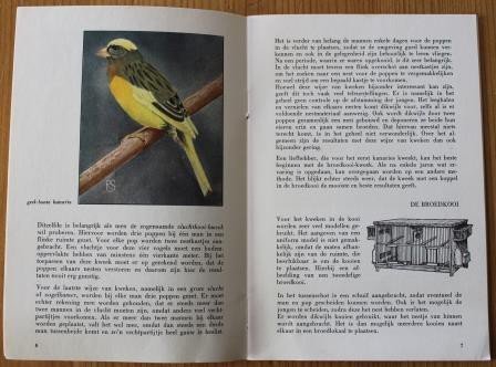 Oud vintage brocante boekje Kanaries, verzorging, Sluis Weesp