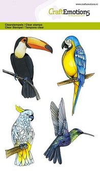Clear stamps stempelset 4 soorten tropische vogels