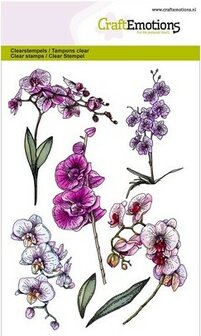 Stempelset orchidee takken clear stamps Romantic Orchid