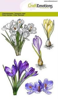 Clear stamps set of crocuses spring flowers, flower bulbs