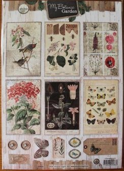 Cutting sheet My Botanic Garden Photos 1325 vintage flowers, insects