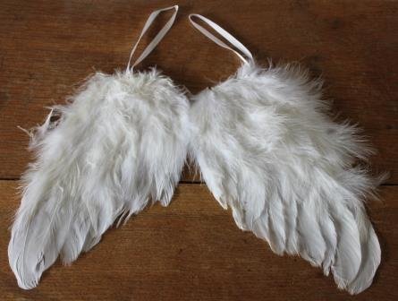 Vintage brocante engelenvleugels dubbele witte veren dons JDL stijl