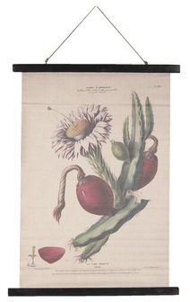 Botanische vintage brocante linnen schoolplaat wandkaart cactus planten Clayre & Eef 5WK0020