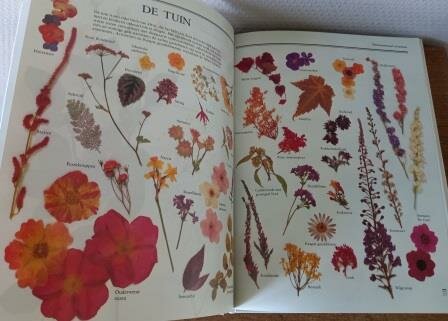 Vintage hobbyboek Gedroogde bloemen collages uit plantenpers book dried flowers Penny Black 2