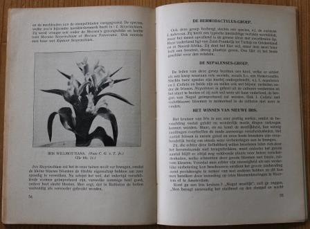 Oud brocante boekje Weten en kunnen, Irissen, 1923