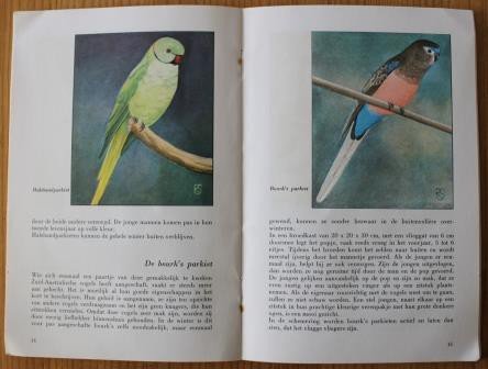 Vintage brocante Dutch book Parkieten (parakeets)