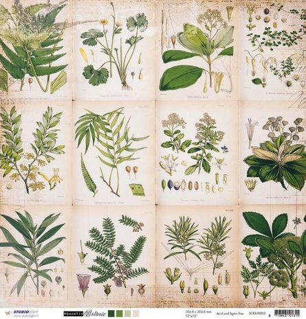 Scrapbook sheet Romantic Botanic 03 green plants cards