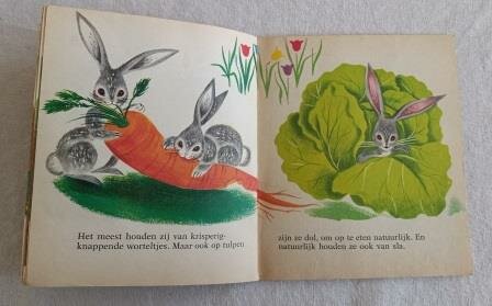 Oud vintage brocante kinderboekje Haasje Hop mini favorieten Dutch childrens book 1