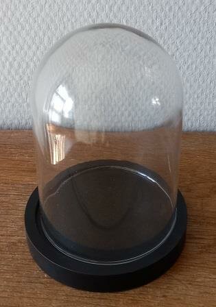 Brocante kleine ronde glazen stolpje zwarte houten basis schotel small glass dome Clayre Eef 6GL2168Z 4